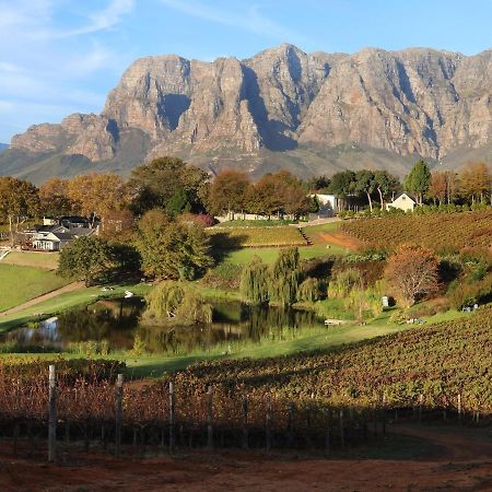 Alluvia Boutique Winery & Luxury Accommodation Стелленбос Екстер'єр фото The Paarl Mountain Range