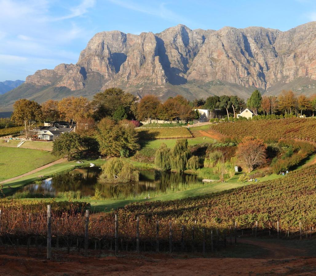 Alluvia Boutique Winery & Luxury Accommodation Стелленбос Екстер'єр фото The Paarl Mountain Range
