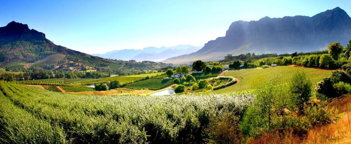 Alluvia Boutique Winery & Luxury Accommodation Стелленбос Екстер'єр фото The Paarl Wine Route