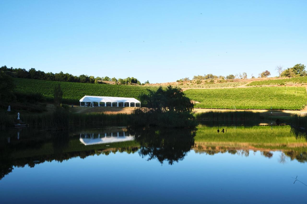 Alluvia Boutique Winery & Luxury Accommodation Стелленбос Екстер'єр фото The vineyard at the winery