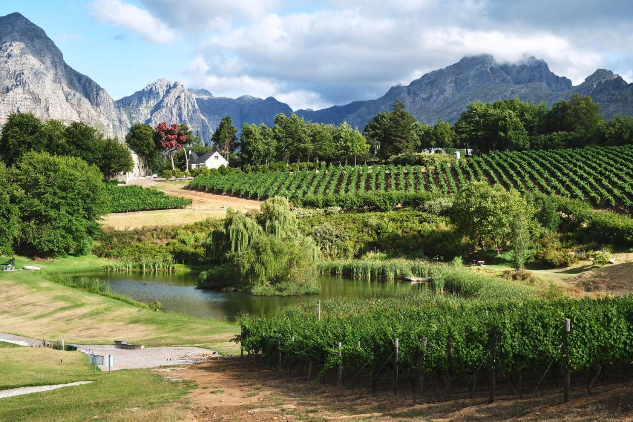 Alluvia Boutique Winery & Luxury Accommodation Стелленбос Екстер'єр фото Wine estate in Stellenbosch