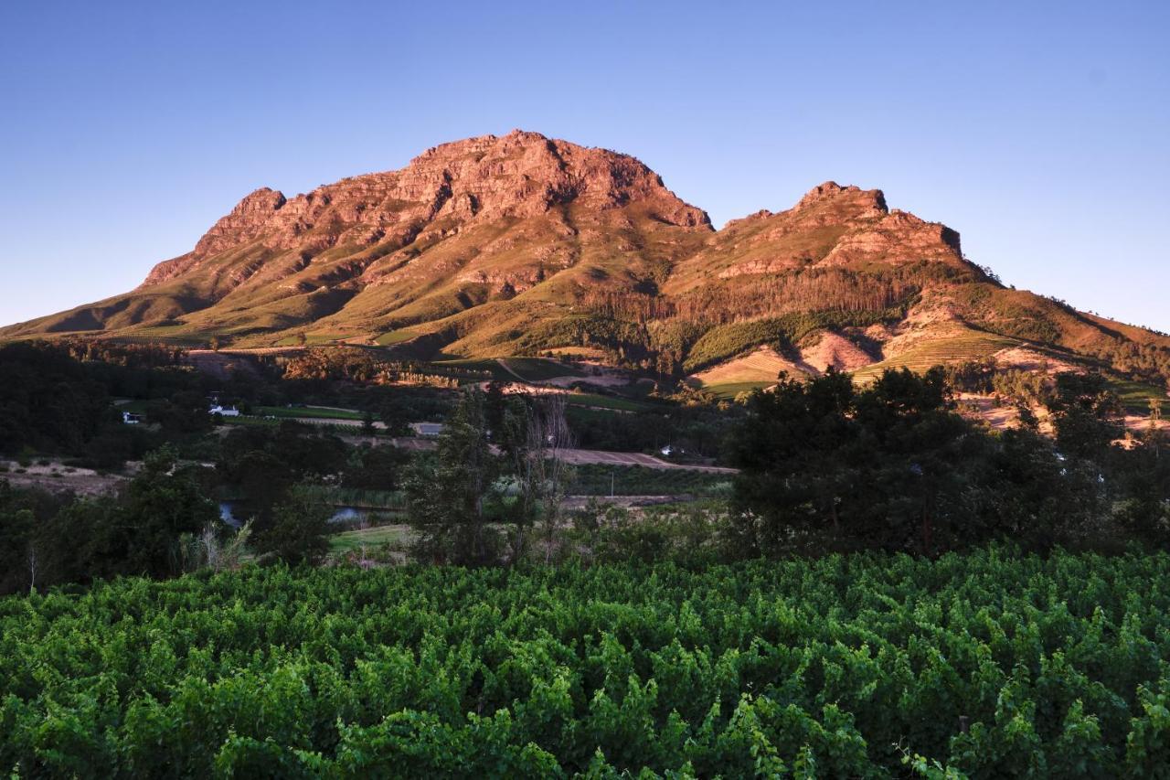 Alluvia Boutique Winery & Luxury Accommodation Стелленбос Екстер'єр фото The Paarl Mountain