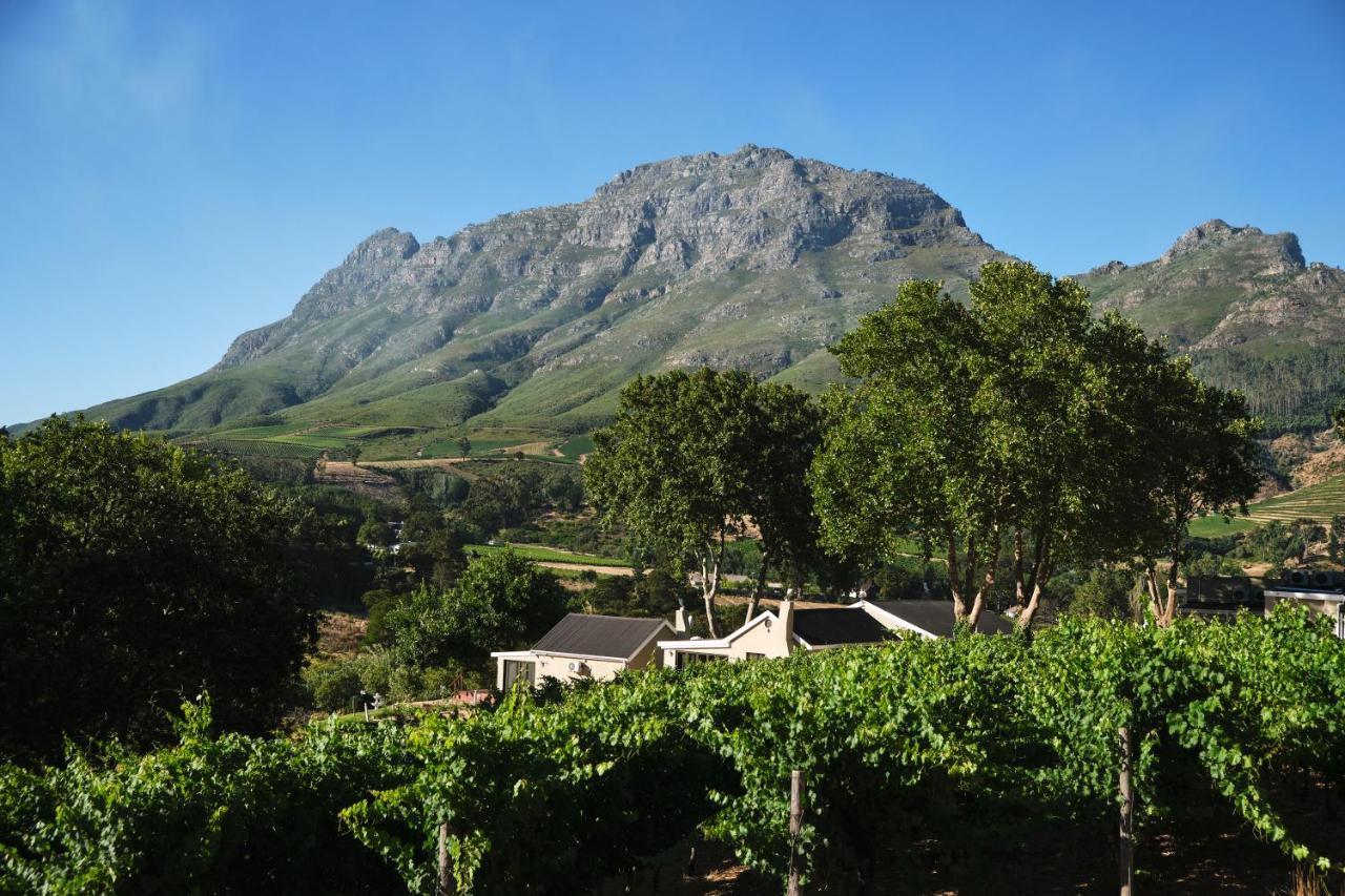 Alluvia Boutique Winery & Luxury Accommodation Стелленбос Екстер'єр фото Wine estate in Stellenbosch