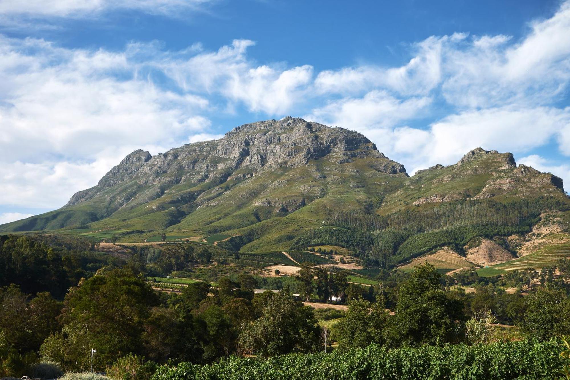 Alluvia Boutique Winery & Luxury Accommodation Стелленбос Номер фото The Helderberg