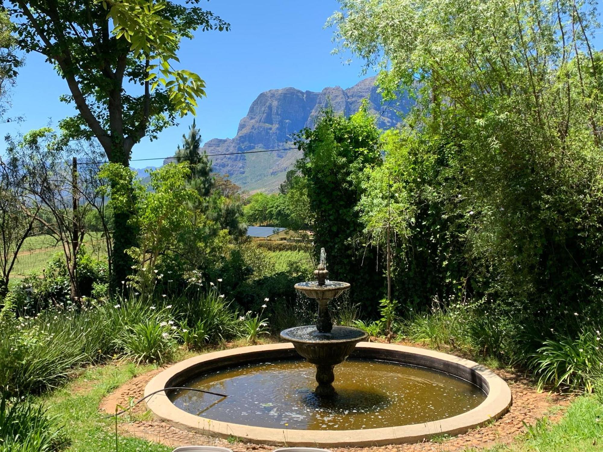 Alluvia Boutique Winery & Luxury Accommodation Стелленбос Номер фото Fountain at the entrance of the Tokai Arboretum